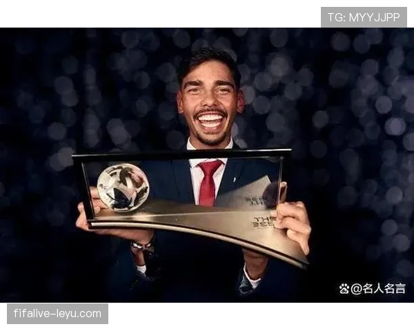 欧洲杯公平竞赛奖揭晓，彰显体育精神与足球价值