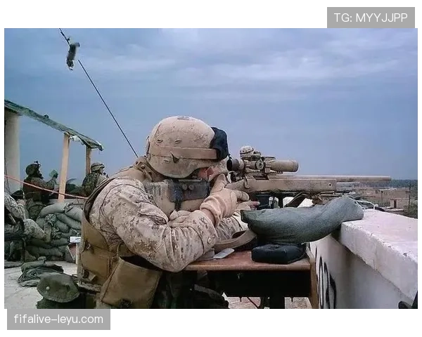 战术革新重塑攻防体系，球队焕新迎战新赛季