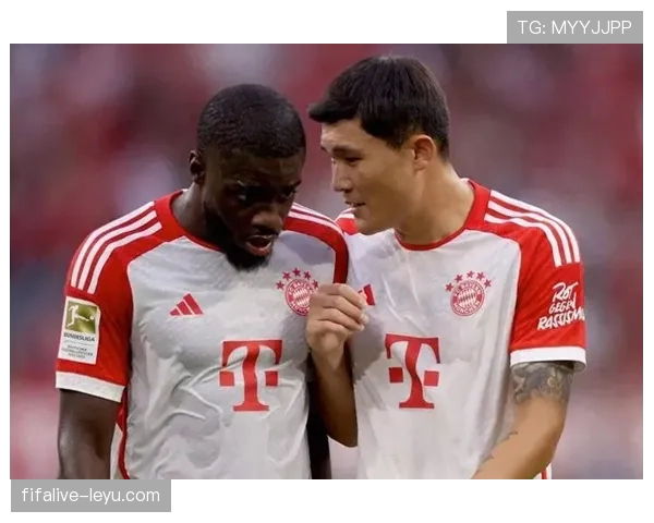 金玟哉与帕梅卡诺加盟，球队防线实力显著提升