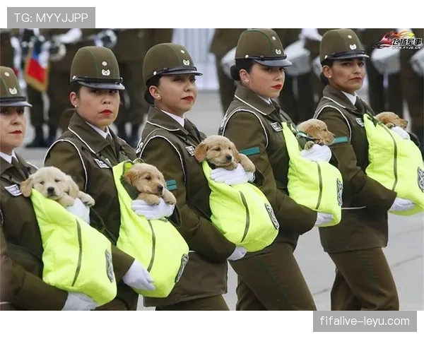 智利队攻防兼备迎战新挑战 智利队攻防兼备迎战新挑战