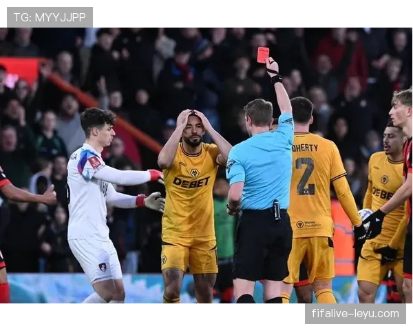 南安普顿进攻火力全开,状态回暖强势跻身英超前列